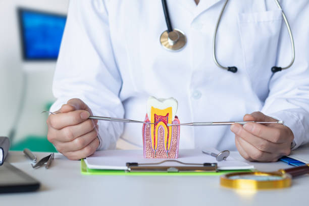 Best Knocked-Out Tooth Emergency  in Powell, WY